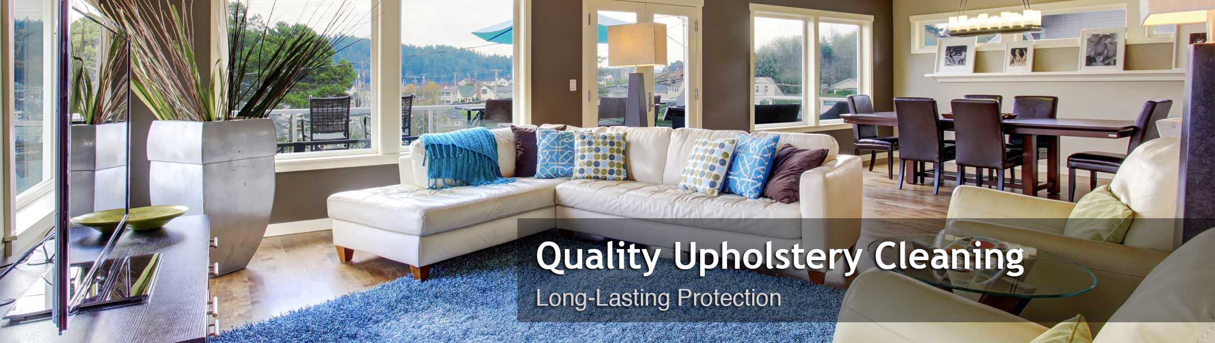 Carpet Cleaning Rochester MN