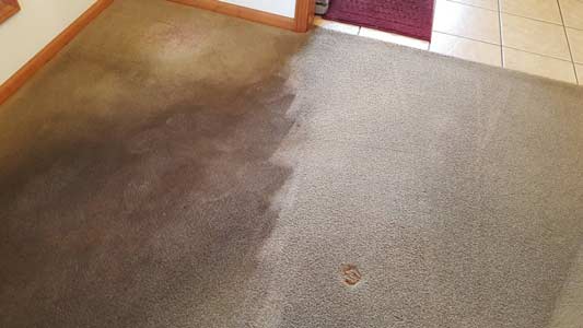 Before and After Carpet Cleaning