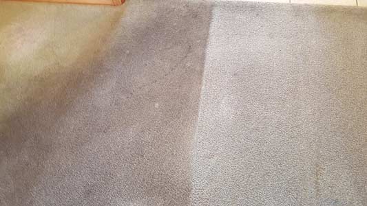 Carpet Cleaning Before and After