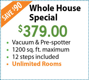 Whole house special: $379