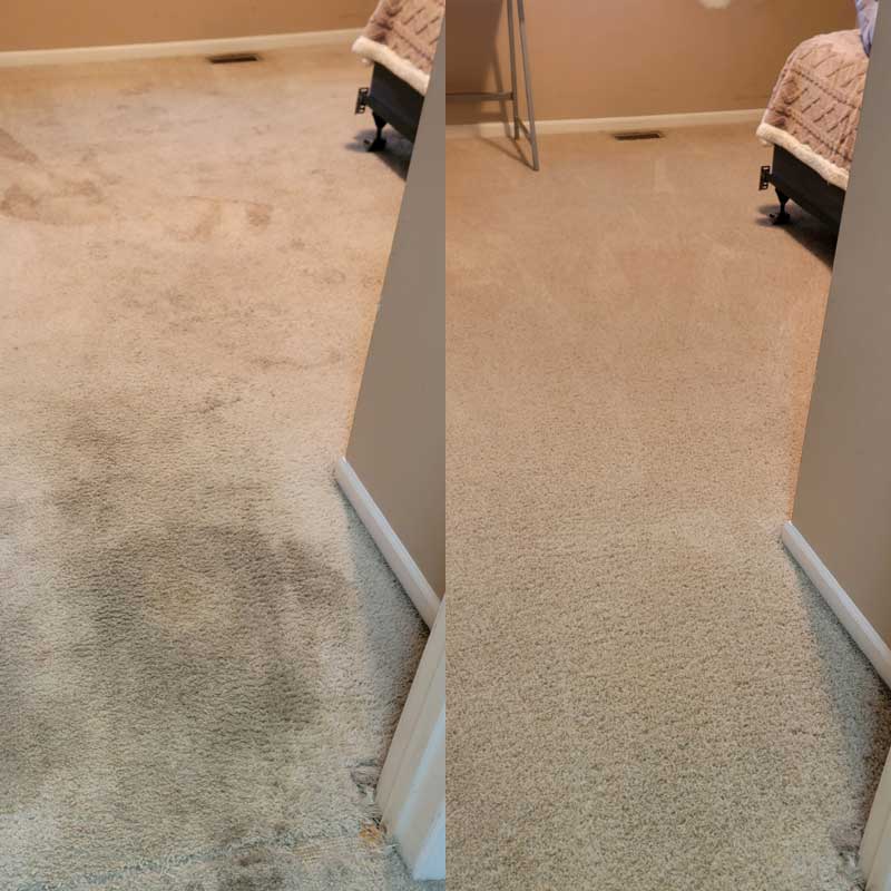 Carpet Cleaning Rochester MN