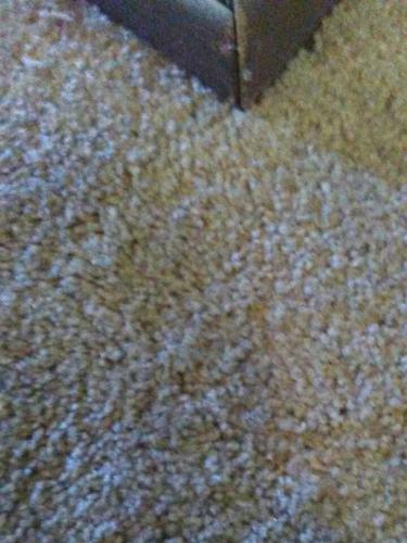 Carpet-Repair-gallery5
