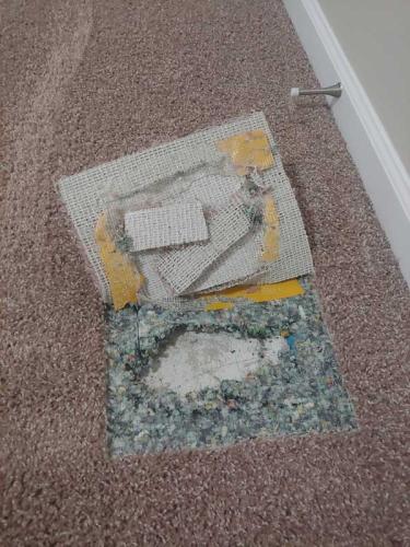 Carpet-Repairs-gallery1