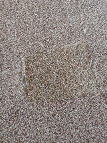 Carpet-Repairs-gallery2