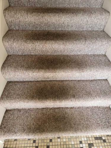 Residential-Carpet-Cleaning-gallery1