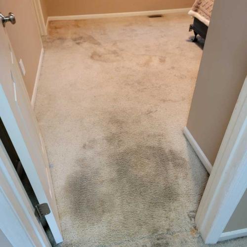 Residential-Carpet-Cleaning-gallery4