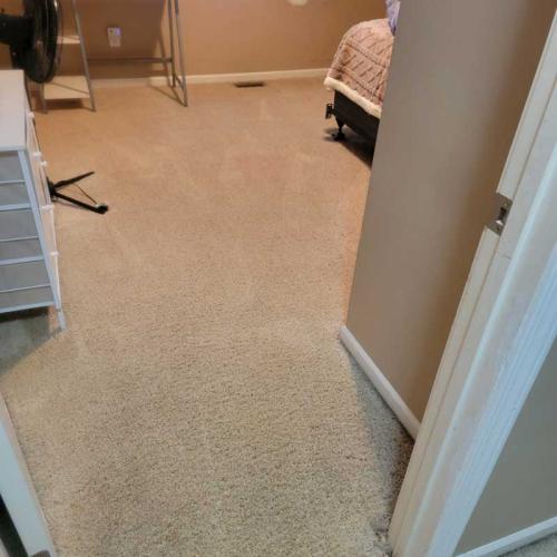 Residential-Carpet-Cleaning-gallery5